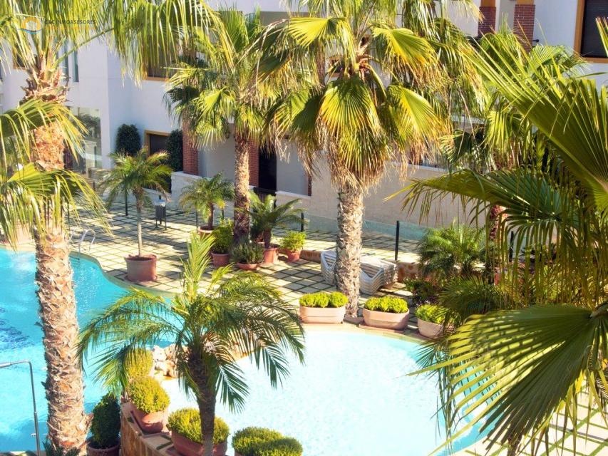 Appartement au rez-de-chaussée avec terrasse et jardin de 159 mètres - C&C Inmoasesores