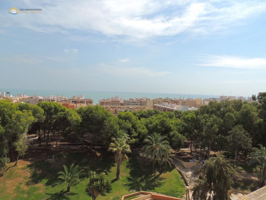 Grand duplex pour location à long terme Guardamar - C&C Inmoasesores