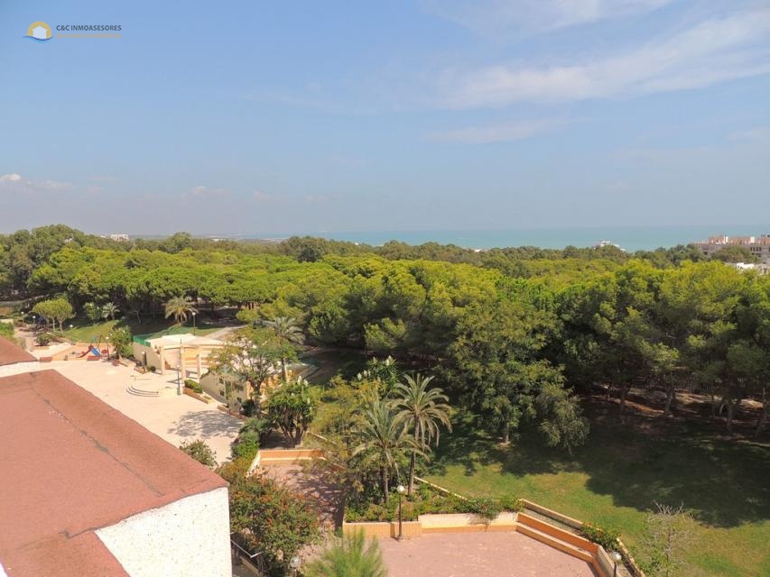 Grand duplex pour location à long terme Guardamar - C&C Inmoasesores