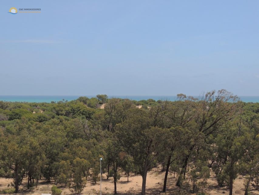 Appartement avec grande terrasse et vue sur la mer - C&C Inmoasesores