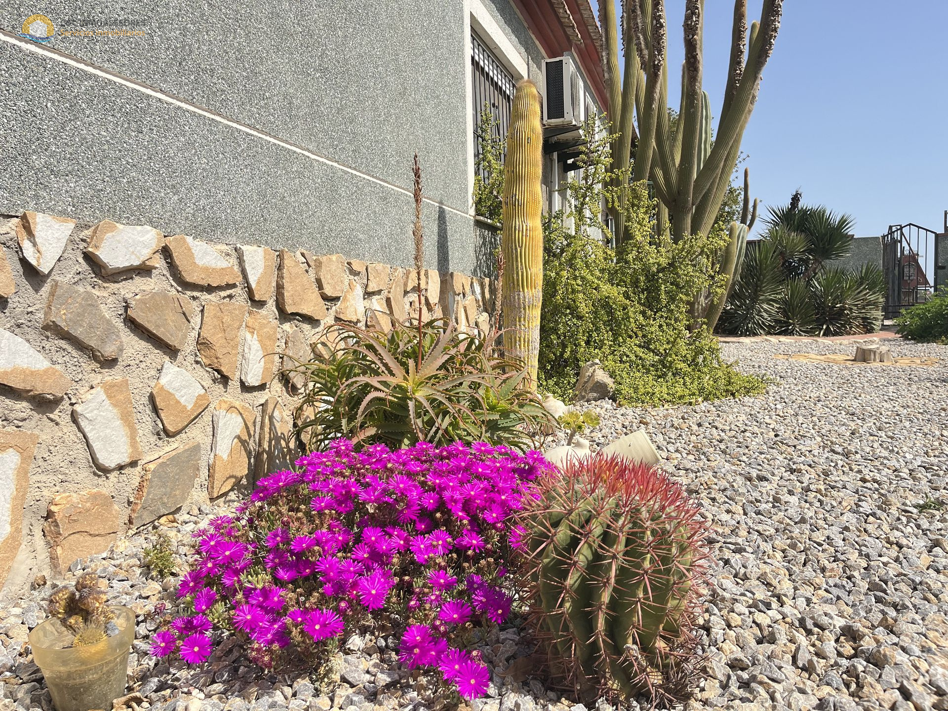 Country property in Dolores