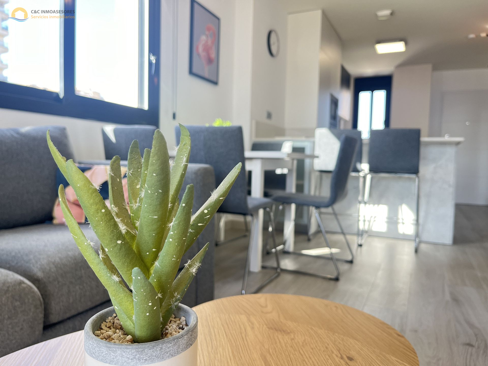 Apartment in Guardamar del Segura