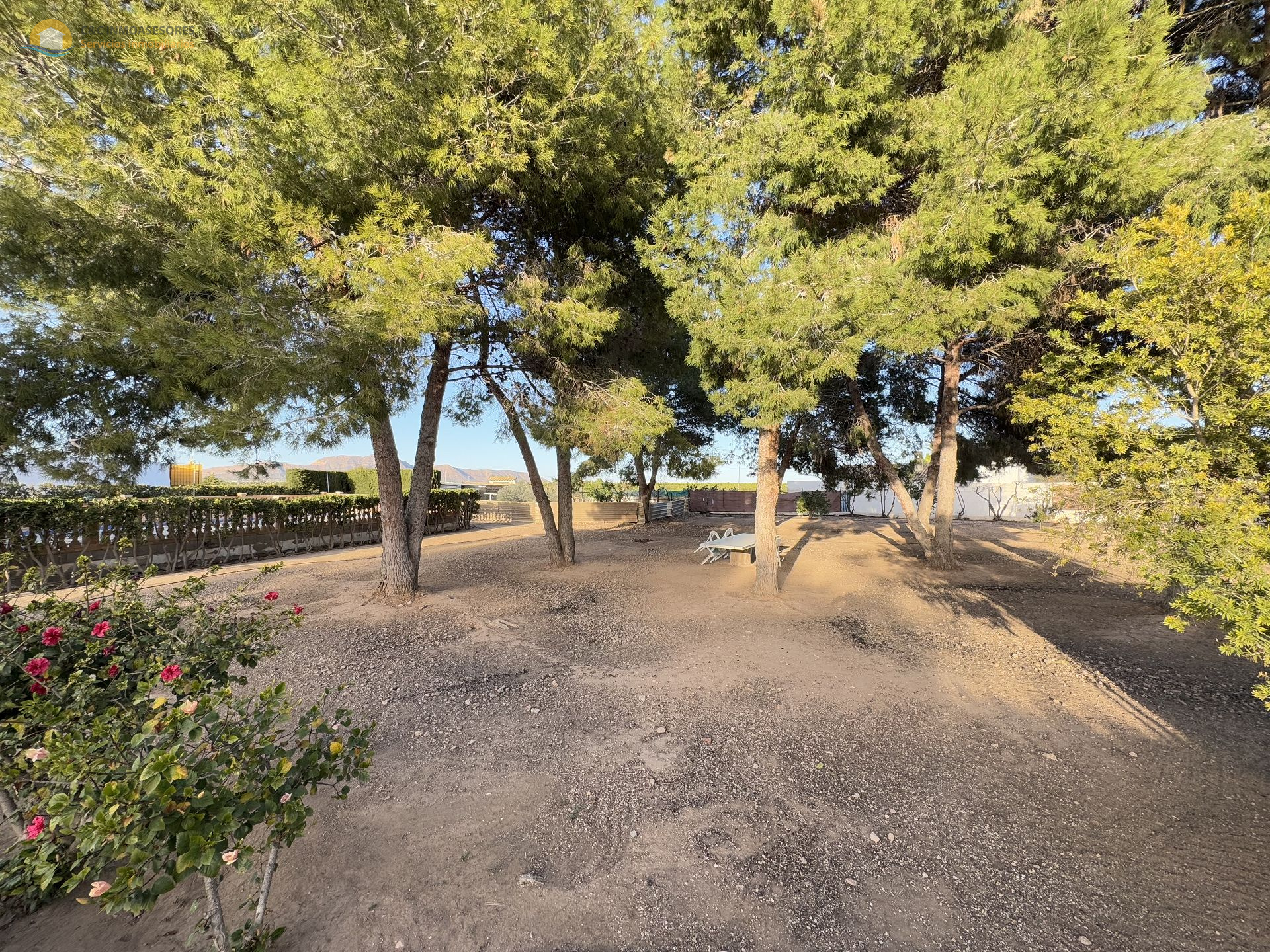 Country property in Torre Pacheco