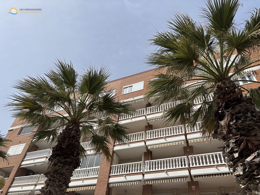 Appartement in Guardamar del Segura - C&C Inmoasesores